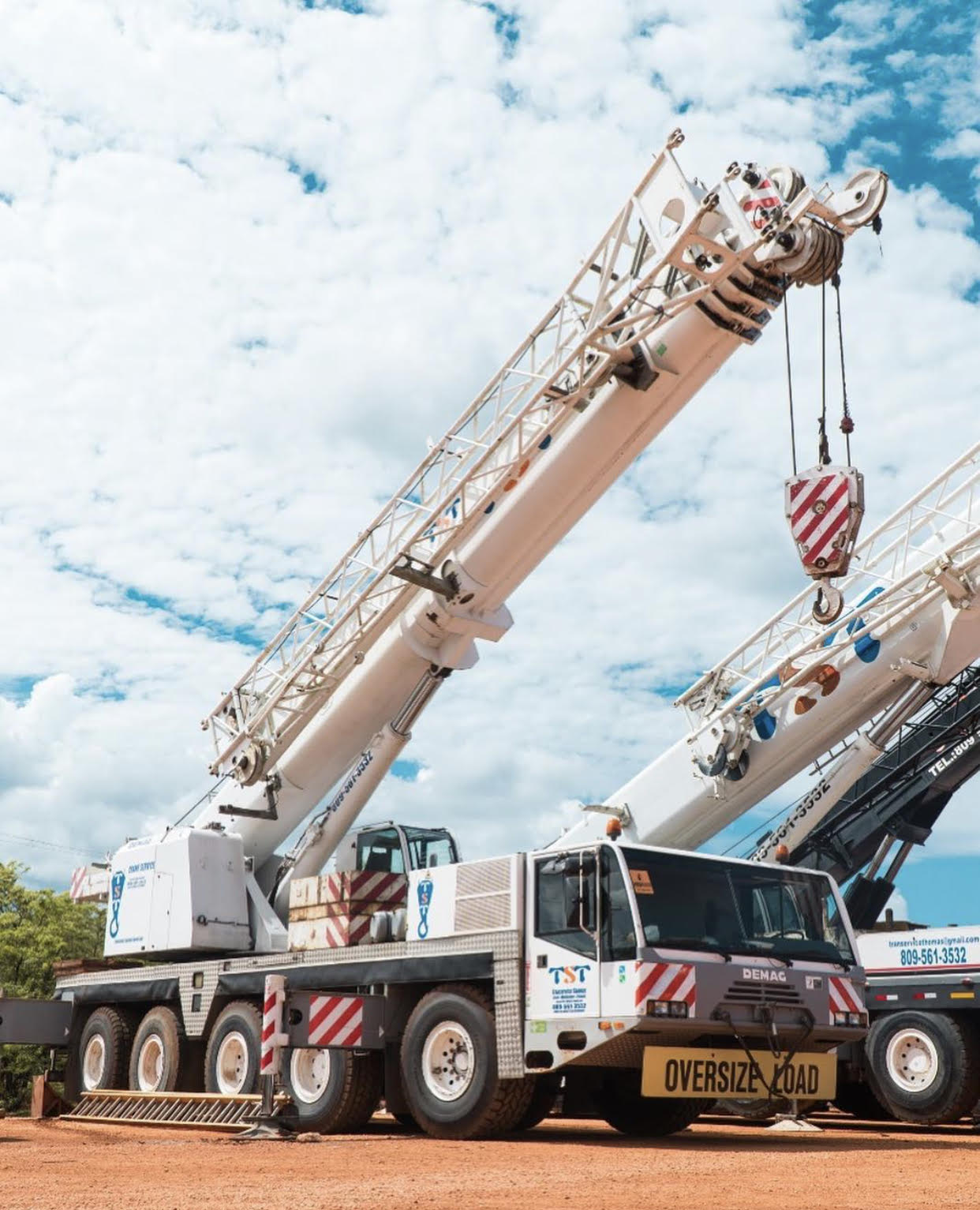 Transporte y Servicios Thomás